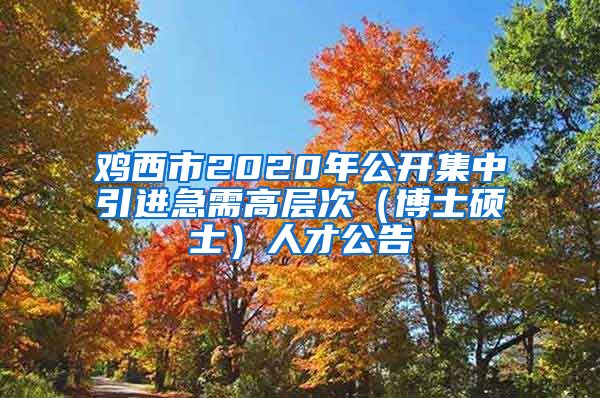 鸡西市2020年公开集中引进急需高层次（博士硕士）人才公告