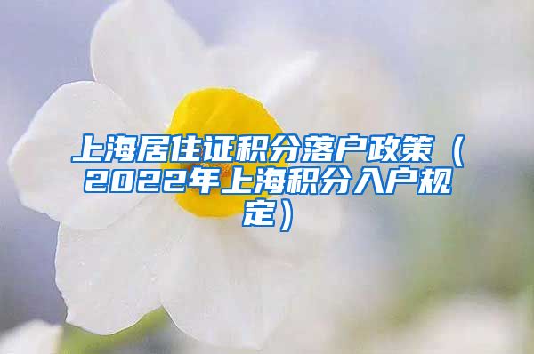 上海居住证积分落户政策（2022年上海积分入户规定）