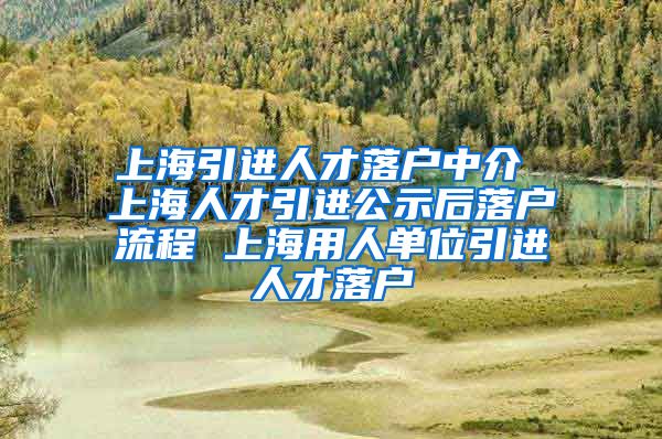 上海引进人才落户中介 上海人才引进公示后落户流程 上海用人单位引进人才落户