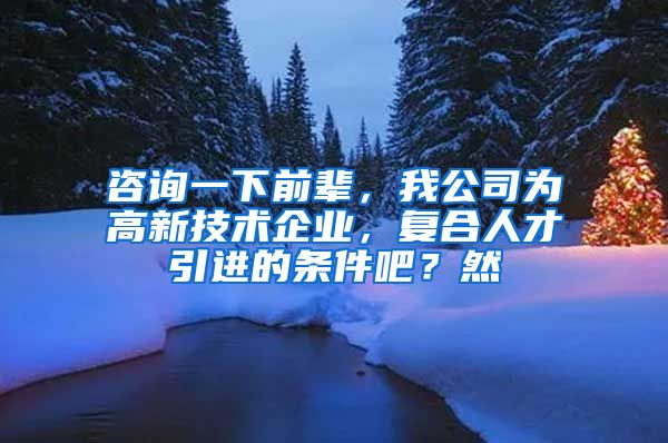 咨询一下前辈，我公司为高新技术企业，复合人才引进的条件吧？然