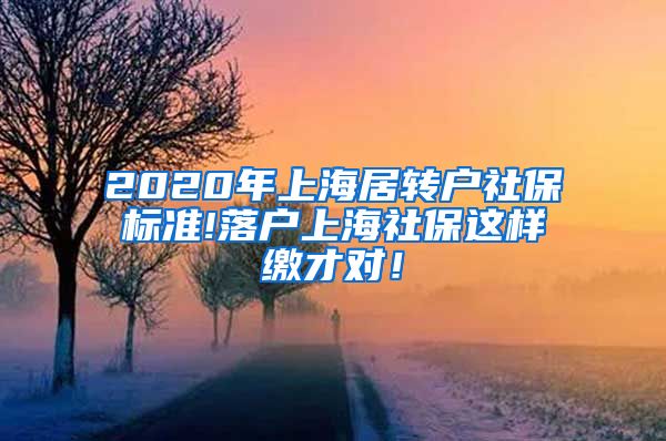 2020年上海居转户社保标准!落户上海社保这样缴才对！