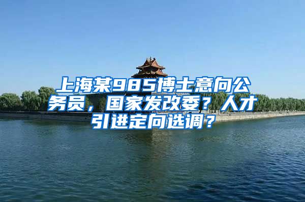 上海某985博士意向公务员，国家发改委？人才引进定向选调？