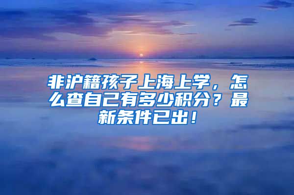 非沪籍孩子上海上学，怎么查自己有多少积分？最新条件已出！