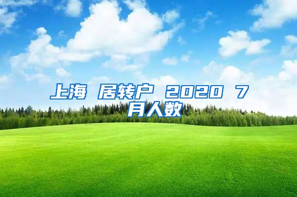 上海 居转户 2020 7 月人数