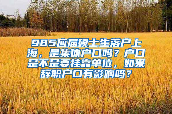 985应届硕士生落户上海，是集体户口吗？户口是不是要挂靠单位，如果辞职户口有影响吗？