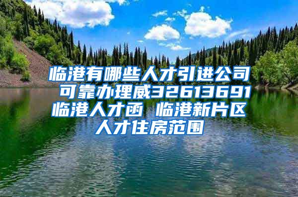 临港有哪些人才引进公司 可靠办理威32613691临港人才函 临港新片区人才住房范围