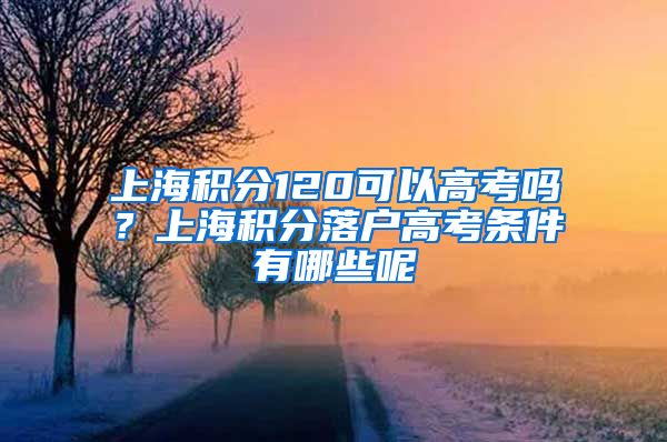 上海积分120可以高考吗？上海积分落户高考条件有哪些呢