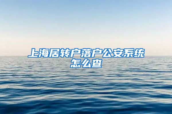 上海居转户落户公安系统怎么查