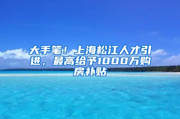 大手笔！上海松江人才引进，最高给予1000万购房补贴