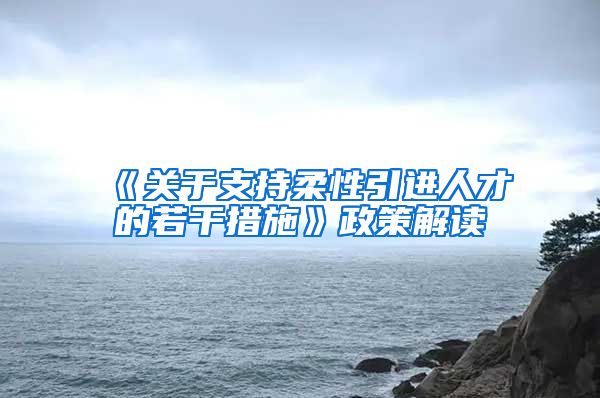 《关于支持柔性引进人才的若干措施》政策解读