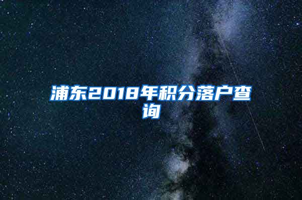 浦东2018年积分落户查询