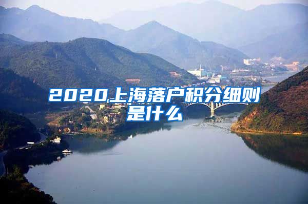 2020上海落户积分细则是什么