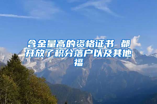 含金量高的资格证书 都开放了积分落户以及其他福