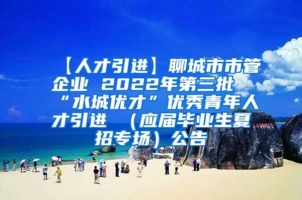 【人才引进】聊城市市管企业 2022年第三批“水城优才”优秀青年人才引进 （应届毕业生夏招专场）公告