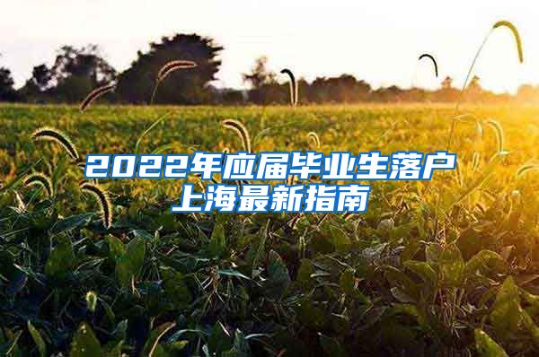 2022年应届毕业生落户上海最新指南