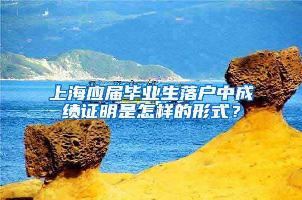 上海应届毕业生落户中成绩证明是怎样的形式？