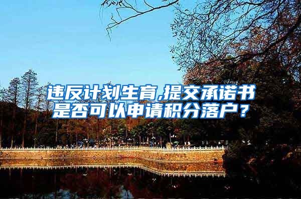 违反计划生育,提交承诺书是否可以申请积分落户？