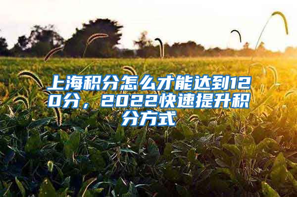 上海积分怎么才能达到120分，2022快速提升积分方式