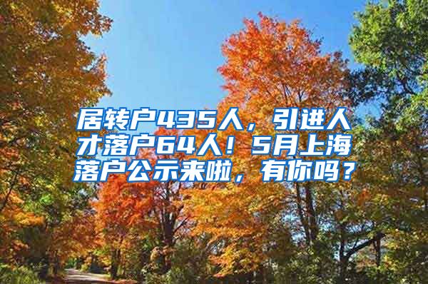 居转户435人，引进人才落户64人！5月上海落户公示来啦，有你吗？