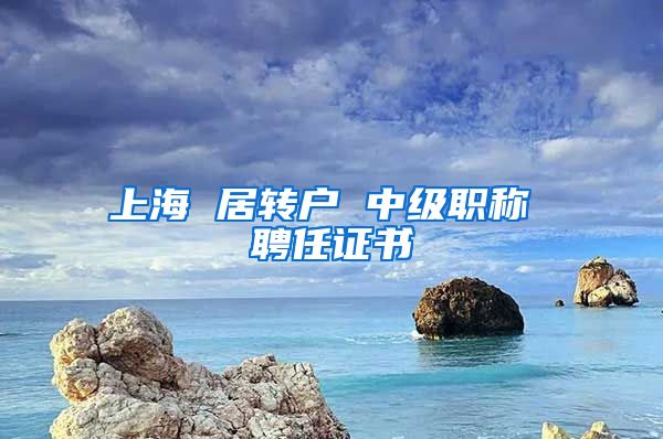 上海 居转户 中级职称 聘任证书