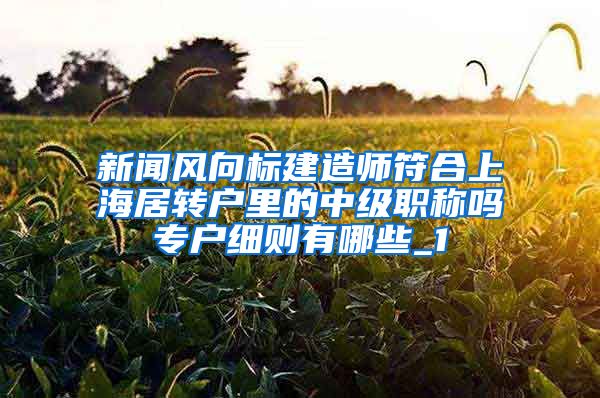 新闻风向标建造师符合上海居转户里的中级职称吗专户细则有哪些_1