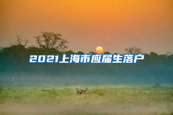 2021上海市应届生落户