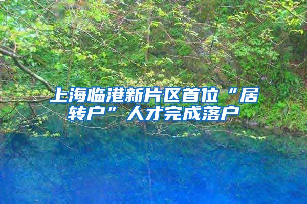 上海临港新片区首位“居转户”人才完成落户