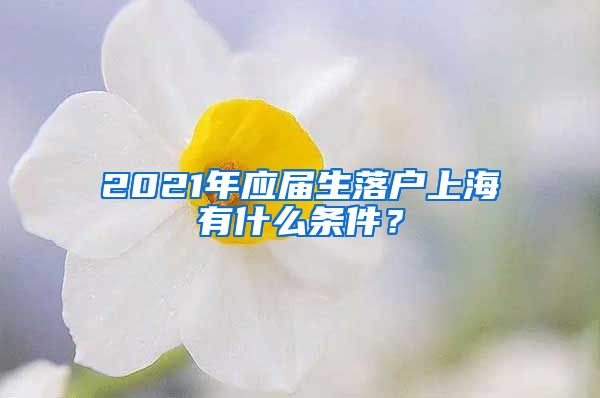 2021年应届生落户上海有什么条件？