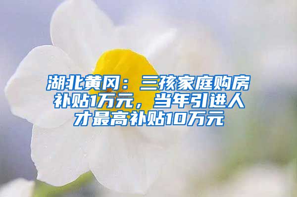 湖北黄冈：三孩家庭购房补贴1万元，当年引进人才最高补贴10万元