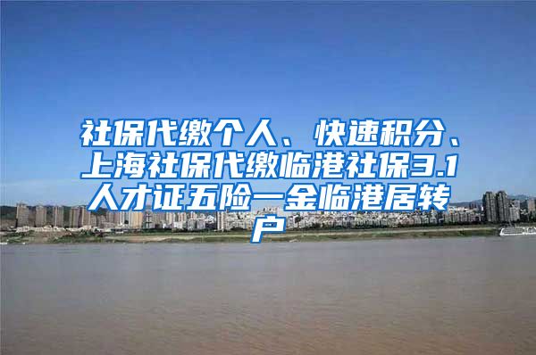 社保代缴个人、快速积分、上海社保代缴临港社保3.1人才证五险一金临港居转户