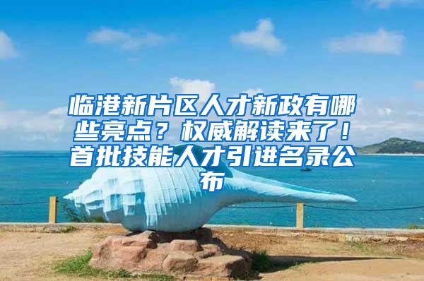 临港新片区人才新政有哪些亮点？权威解读来了！首批技能人才引进名录公布