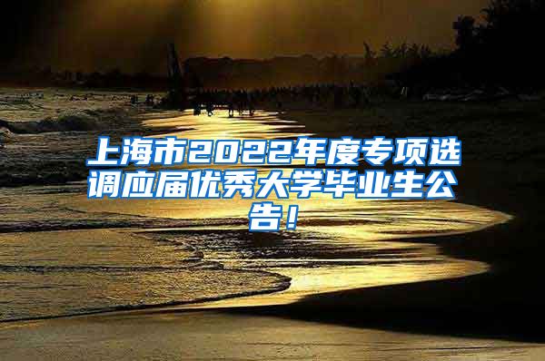 上海市2022年度专项选调应届优秀大学毕业生公告！