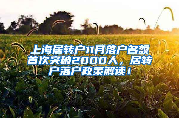 上海居转户11月落户名额首次突破2000人，居转户落户政策解读！