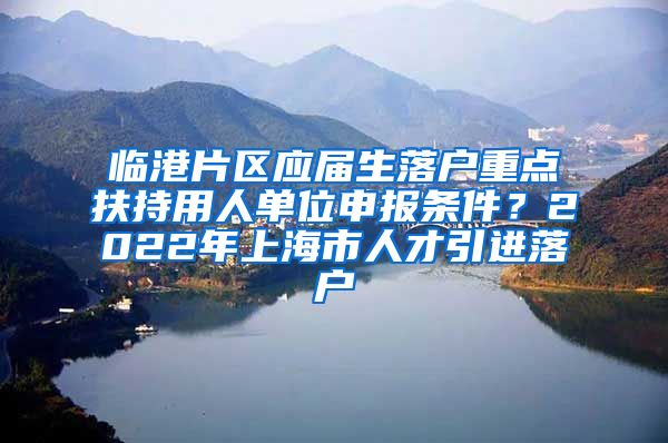 临港片区应届生落户重点扶持用人单位申报条件？2022年上海市人才引进落户