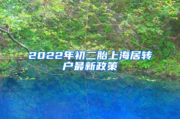 2022年初二胎上海居转户最新政策