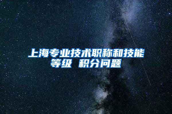 上海专业技术职称和技能等级 积分问题