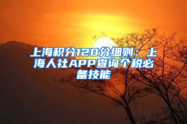 上海积分120分细则：上海人社APP查询个税必备技能