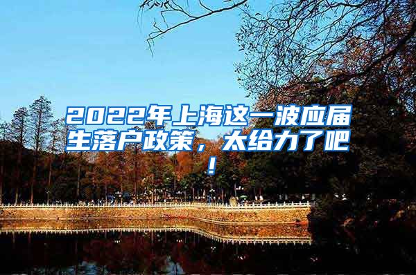 2022年上海这一波应届生落户政策，太给力了吧！