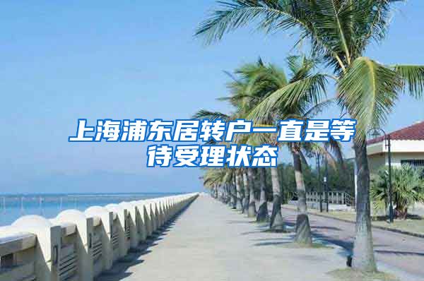 上海浦东居转户一直是等待受理状态