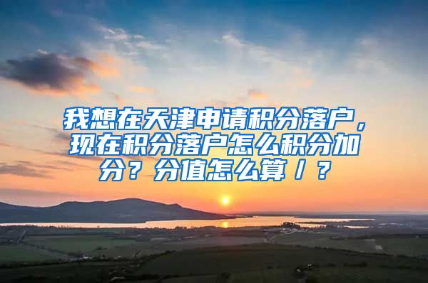 我想在天津申请积分落户，现在积分落户怎么积分加分？分值怎么算／？