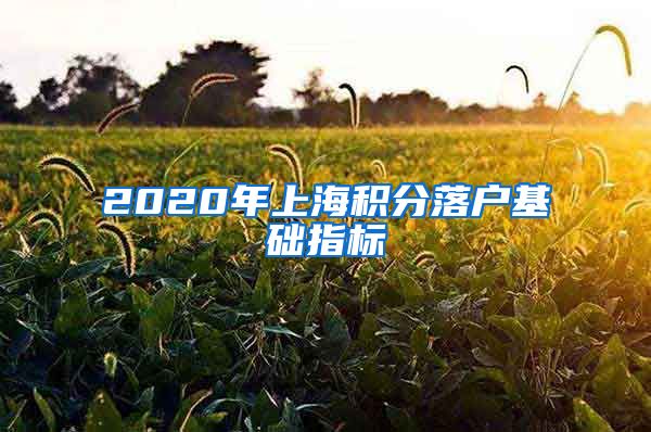 2020年上海积分落户基础指标