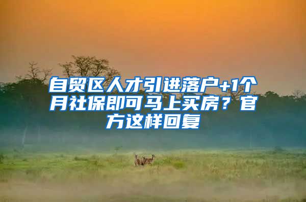 自贸区人才引进落户+1个月社保即可马上买房？官方这样回复