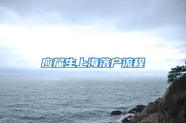 应届生上海落户流程