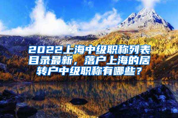 2022上海中级职称列表目录最新，落户上海的居转户中级职称有哪些？