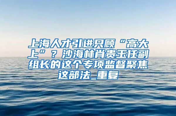 上海人才引进只顾“高大上”？沙海林肖贵玉任副组长的这个专项监督聚焦这部法_重复