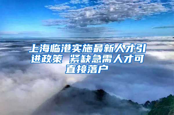 上海临港实施最新人才引进政策 紧缺急需人才可直接落户