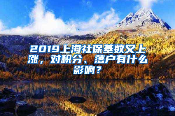 2019上海社保基数又上涨，对积分、落户有什么影响？