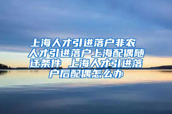 上海人才引进落户非农 人才引进落户上海配偶随迁条件 上海人才引进落户后配偶怎么办