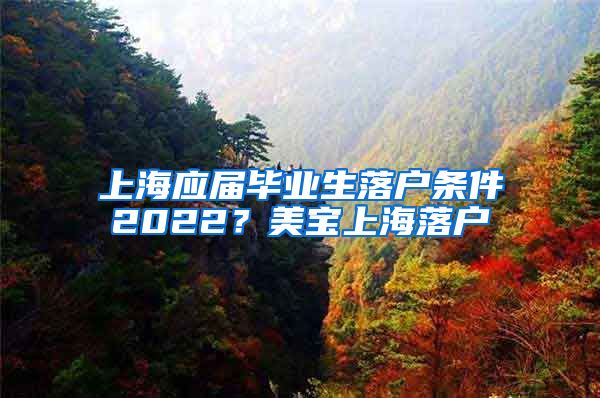 上海应届毕业生落户条件2022？美宝上海落户