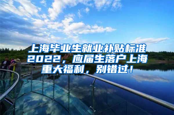 上海毕业生就业补贴标准2022，应届生落户上海重大福利，别错过！